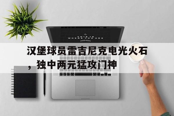 乐动官方平台-汉堡球员雷吉尼克电光火石，独中两元猛攻门神